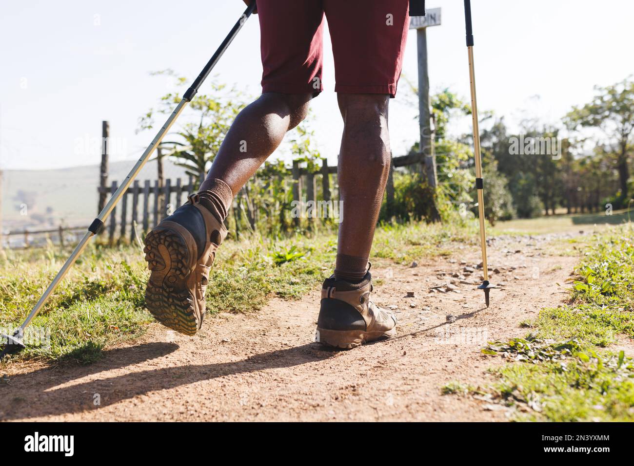 Sección baja del hombre mayor afroamericano con bastones de senderismo caminando en el sendero en el bosque Foto de stock