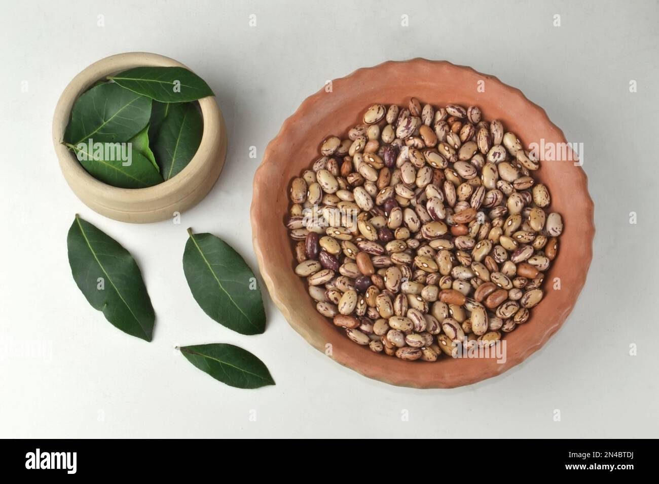 Las hojas de la planta de laurel (Laurus novilis) se utilizan