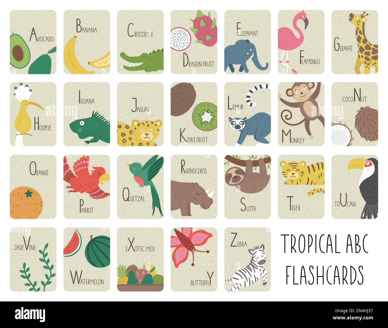 Tarjetas de alfabeto tropical para niños. Lindo ABC de dibujos animados con animales exóticos, pájaros, frutas, insectos. Divertidas tarjetas de la selva para enseñar la lectura o Ilustración del Vector