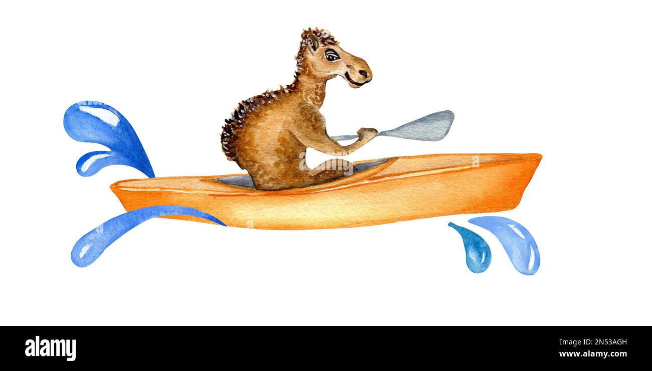 Camello de dibujos animados y kayak, ilustración de acuarela de salpicaduras de agua aislado en blanco. Lindo animal australiano tiene deporte acuático dibujado a mano. Elemento de diseño para Foto de stock