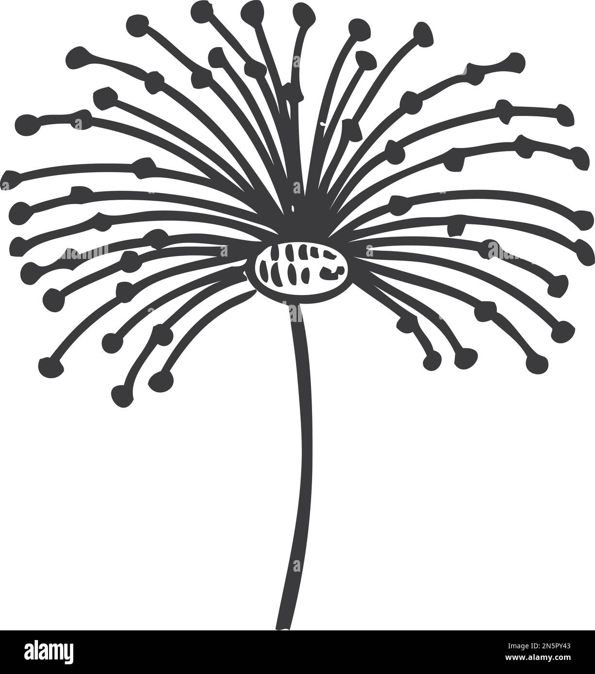 Flor negra Imágenes de stock en blanco y negro - Alamy Flor negra Imágenes de stock en blanco y negro - Alamy