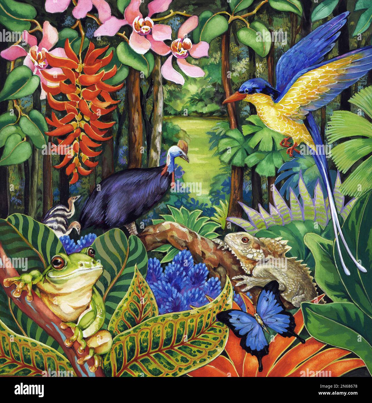 Ilustración tropical australiana de la fauna y flora de la selva