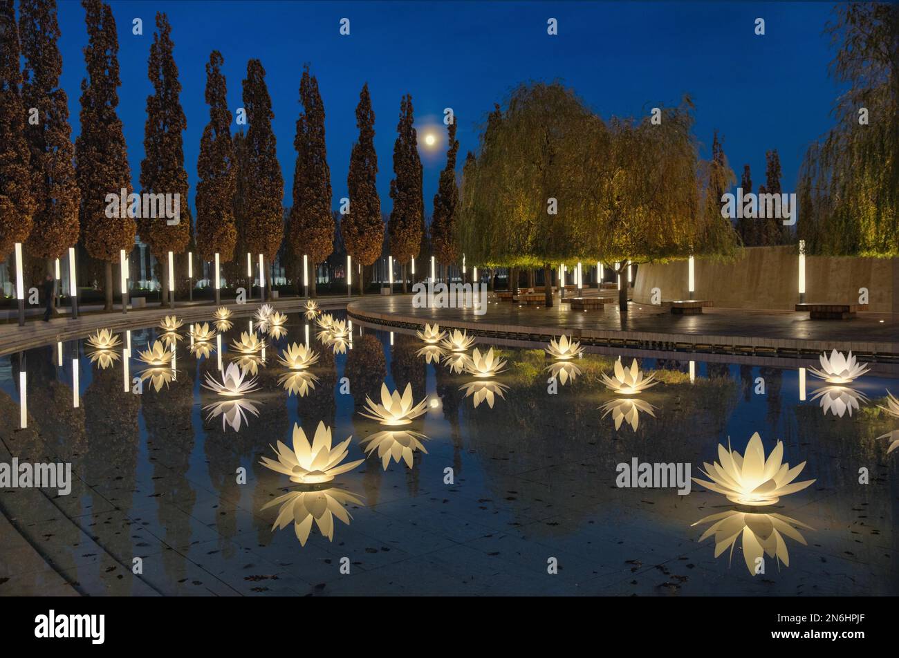 Lirios de agua iluminados, parque Galitskogo, Krasnodar, Rusia Foto de stock
