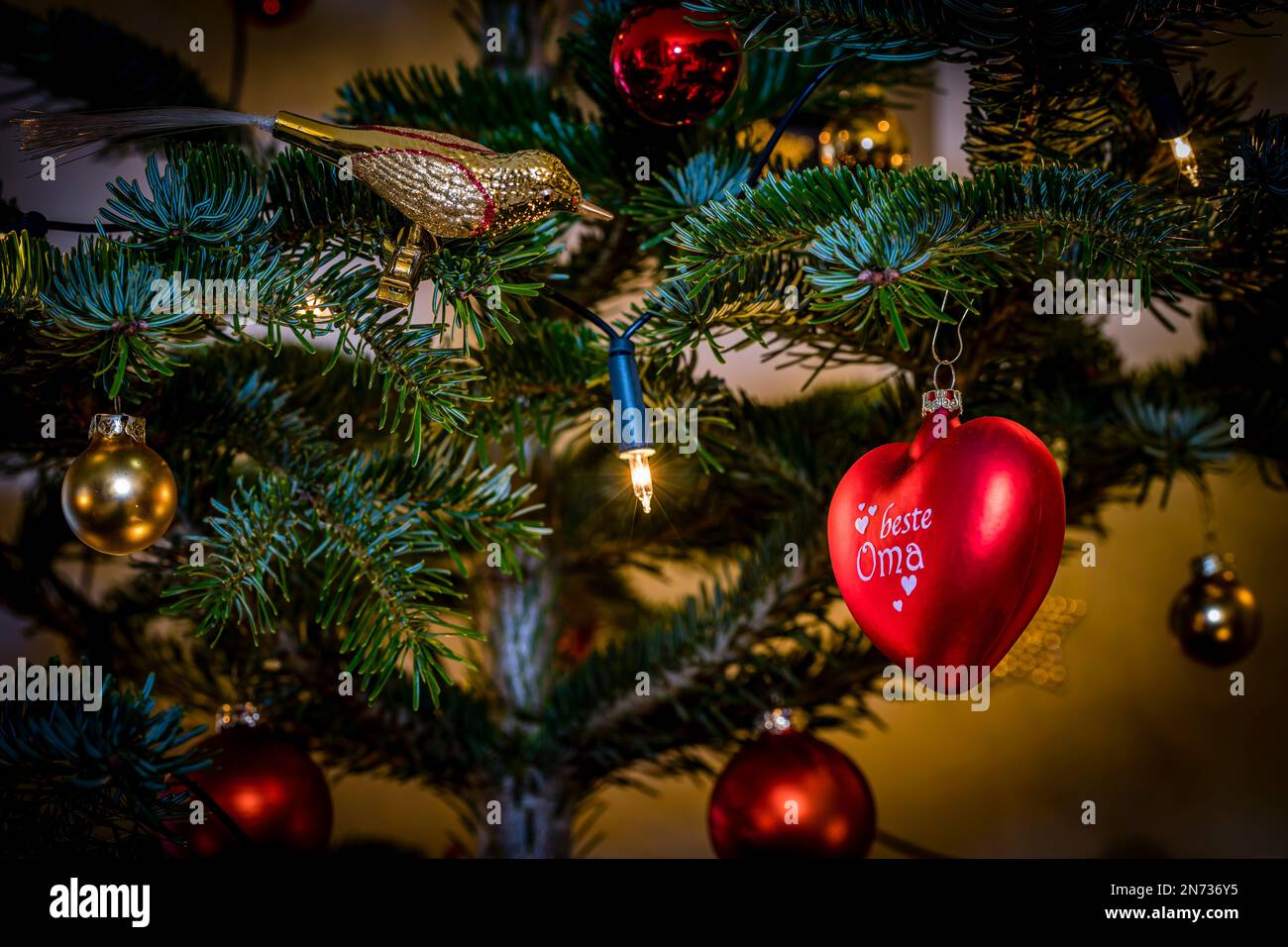 Primeros planos de un árbol de Navidad decorado, un abeto Nordmann con bolas rojas y amarillas e iluminación con velas eléctricas, un ambiente hogareño y festivo, Foto de stock