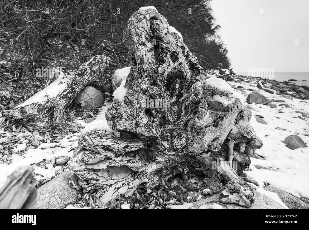 Impresión de invierno, Sassnitz, Parque Nacional Jasmund, costa de tiza, Isla de Rügen, Mar Báltico Foto de stock