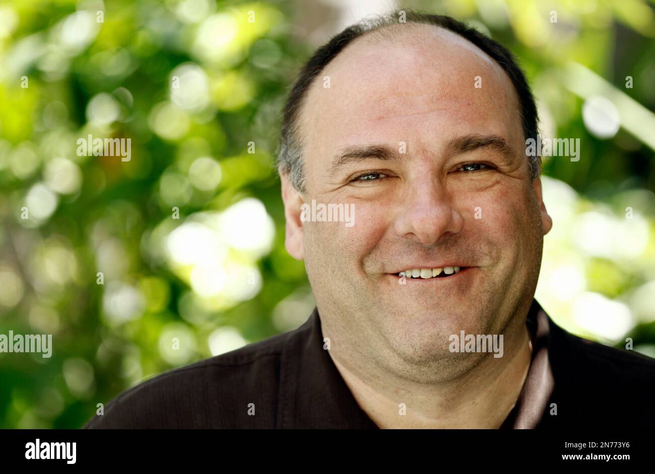 FILE This April 11, 2011 file photo shows actor James Gandolfini in