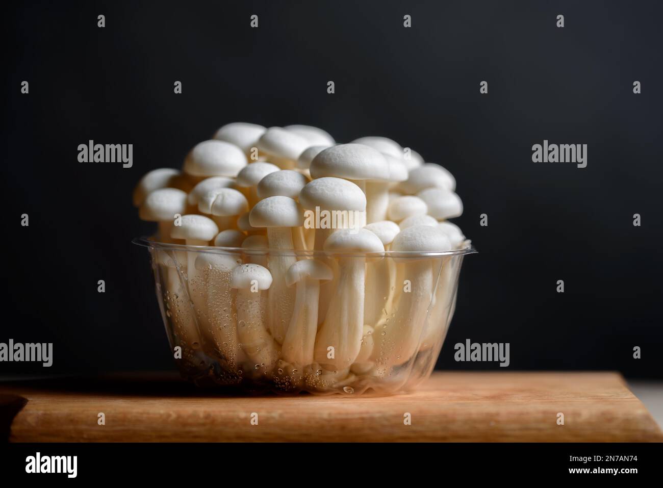 Shimeji blanco Setas comestibles Shimeji nativo de Asia oriental, bunashimeji se cultiva y es