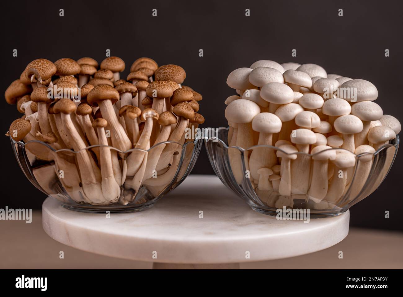 Shimeji blanco y marrón Setas comestibles Shimeji nativo de Asia oriental, bunashimeji se