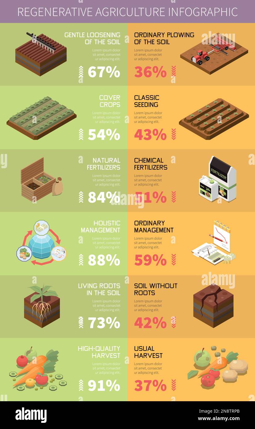 Plantilla De Infografía De Agricultura Regenerativa Con Símbolos De Permacultura Ilustración 1954