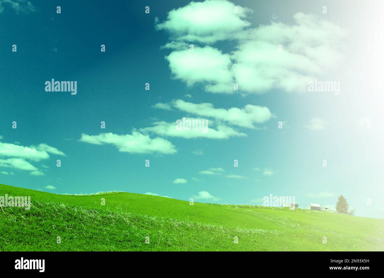 Hermoso y verde pradera con nubes blancas,el enfoque en primer plano Foto de stock
