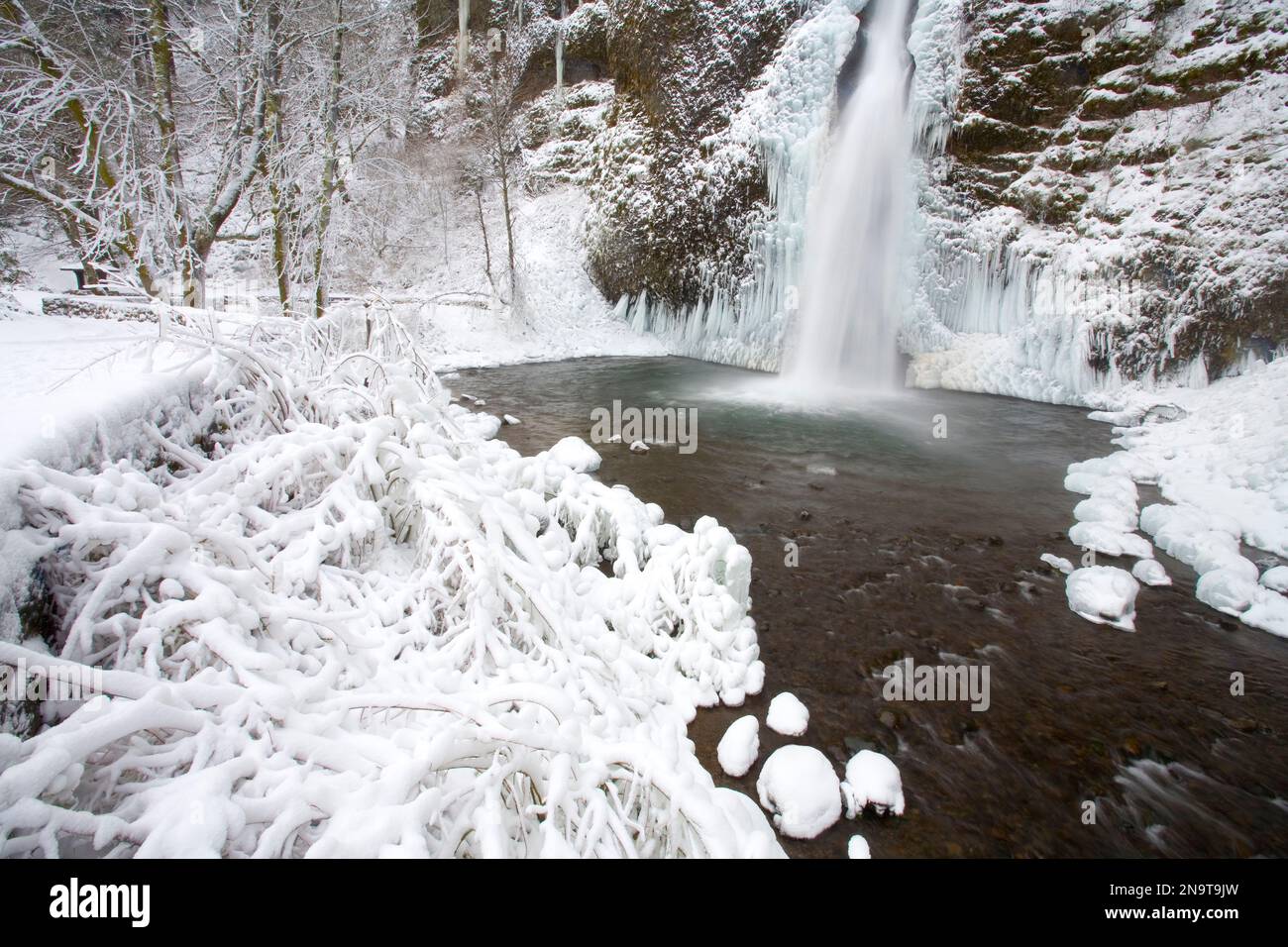 Formaciones de nieve y hielo en invierno en las cataratas Horse Tail Falls en el área escénica nacional Columbia River Gorge; Oregon (Estados Unidos de América) Foto de stock