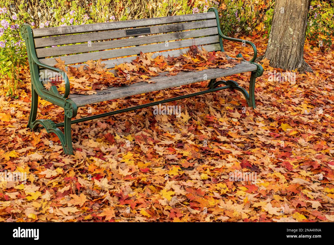 Caída en Peterborough, New Hampshire Foto de stock