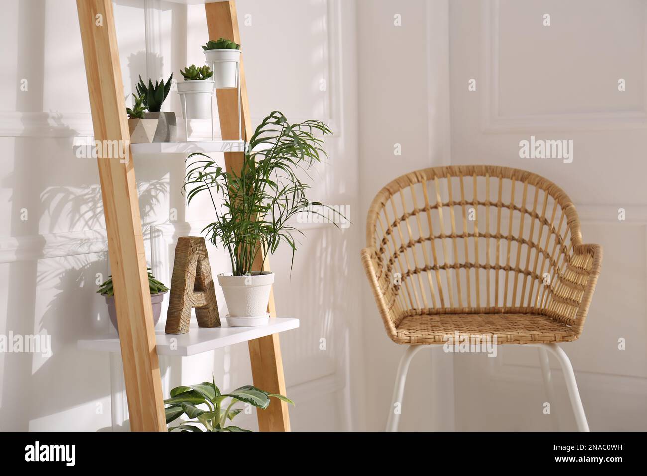 https://c8.alamy.com/compes/2nac0wh/elegante-escalera-decorativa-con-plantas-de-interior-y-silla-en-sala-de-luz-2nac0wh.jpg