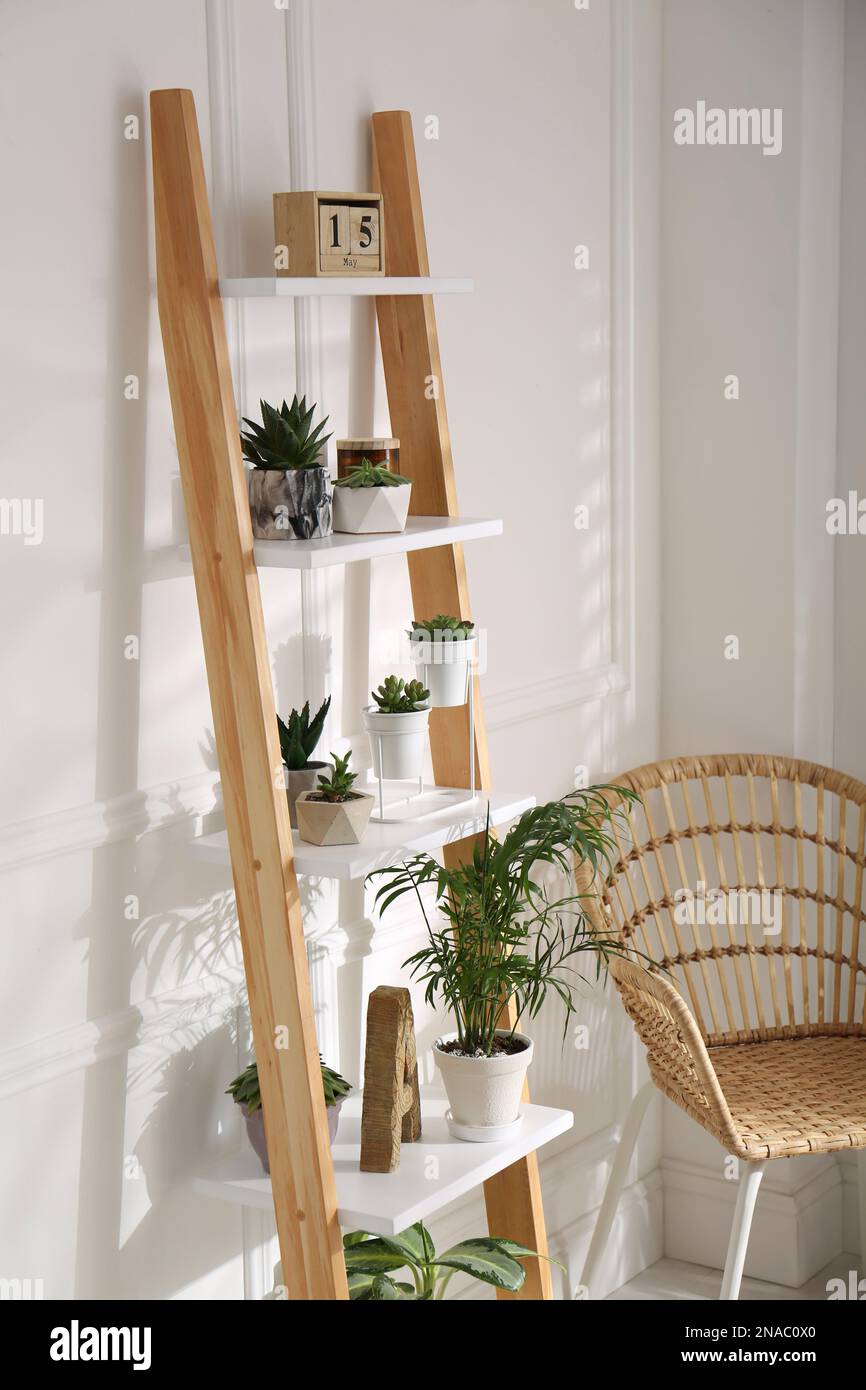 Elegante escalera decorativa con plantas de interior y silla en sala de luz  Fotografía de stock - Alamy