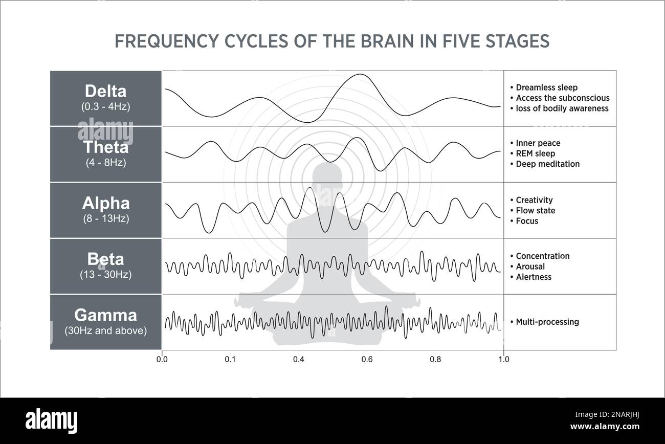 El EEG o amplitud del electroencefalograma es una medida de la fuerza