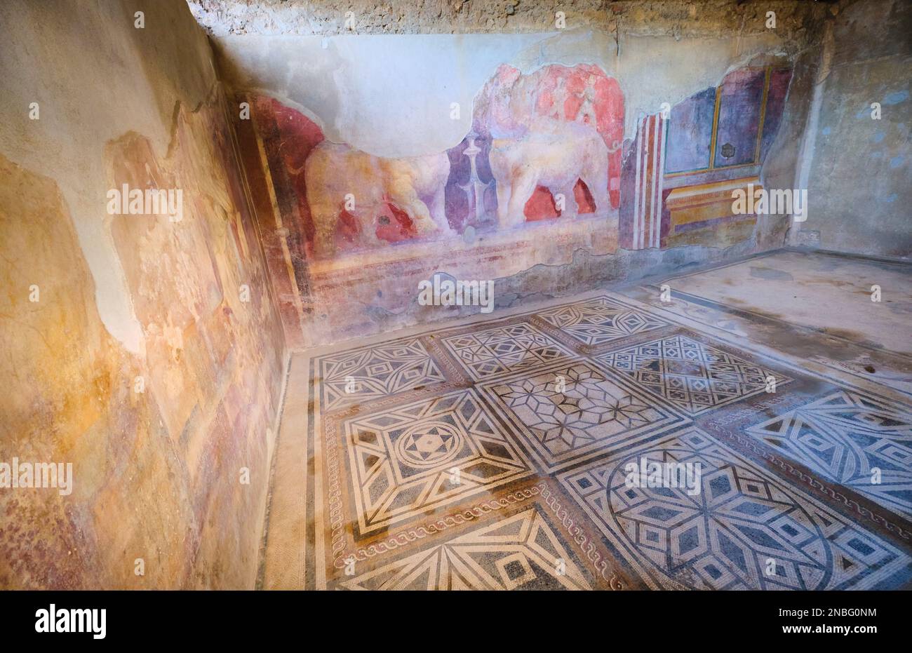 Elaborados, ricos, elegantes frescos de pared y mosaico de piso, trabajos de azulejos en una gran sala en la Casa de Larario di Achille. En el Parque Arqueológico de Pompeya cerca de Naple Foto de stock