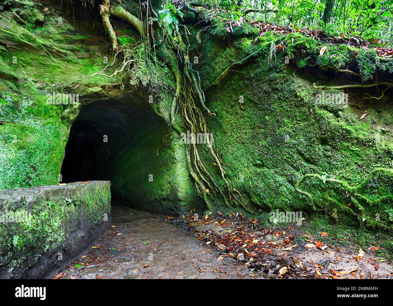 Túnel en Madeira en ruta de senderismo a pie, Levada Caldeirao Verde Foto de stock