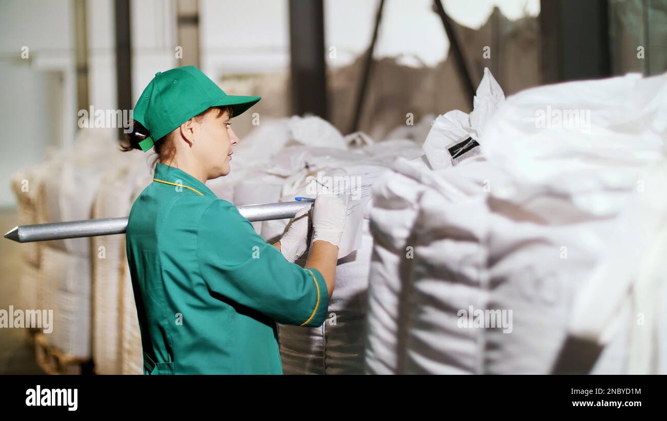 mujer, empleada de la empresa agrícola, toma muestras de grano de maíz de grandes bolsas en el almacén para su análisis en laboratorio. Foto de alta calidad Foto de stock