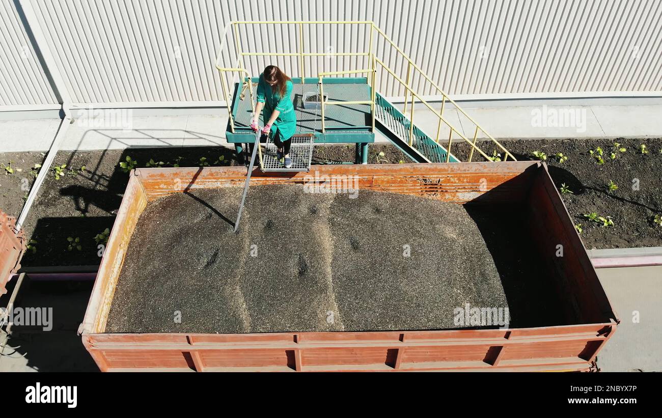 CHERKASY, UCRANIA - 24 DE AGOSTO de 2018: Mujer, empleada de la empresa agrícola, toma muestras de semillas de granos y girasol del tubo para su análisis en laboratorio. Foto de alta calidad Foto de stock
