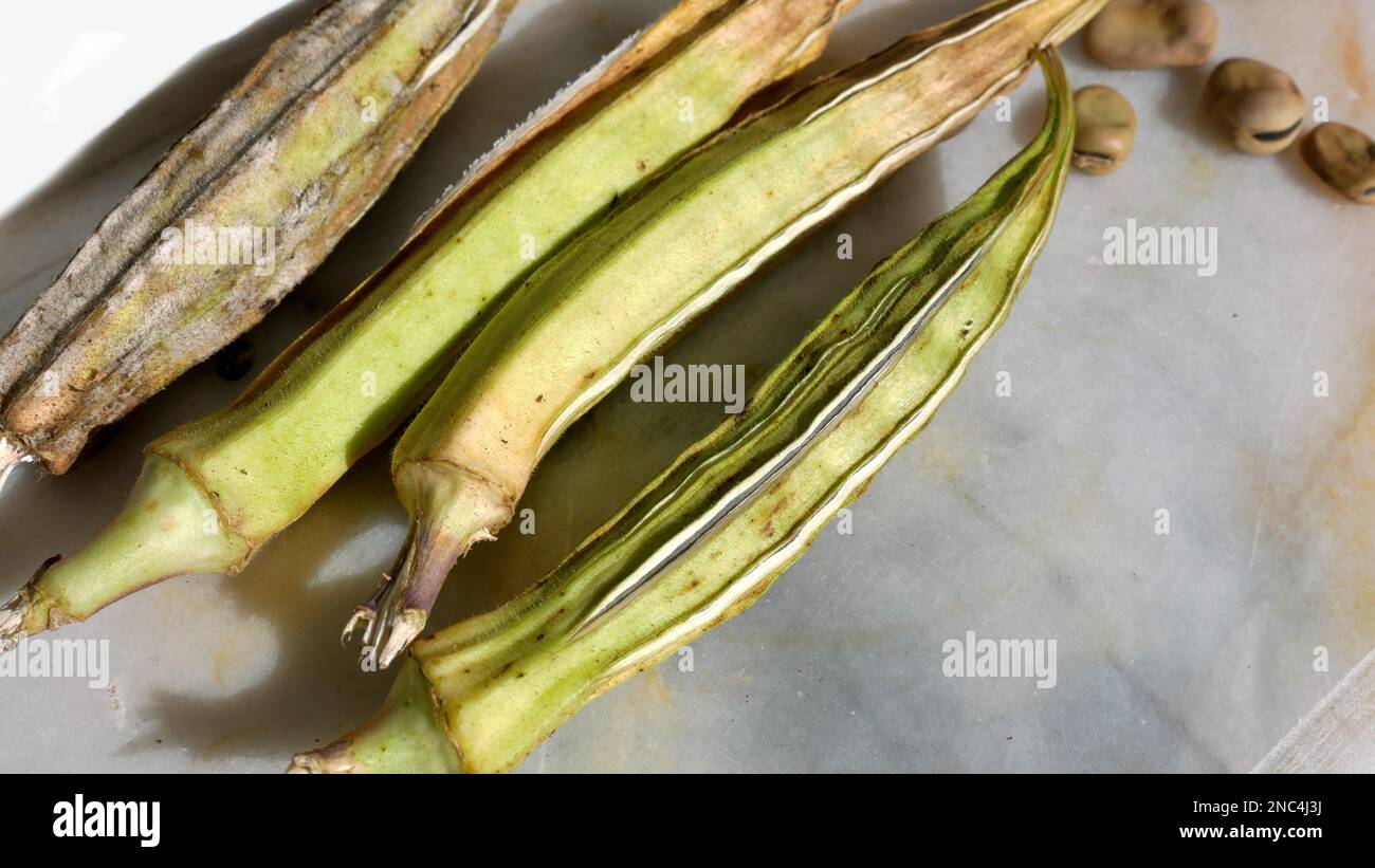 proceso de obtener semillas de okra en casa, semilla de fruto de okra