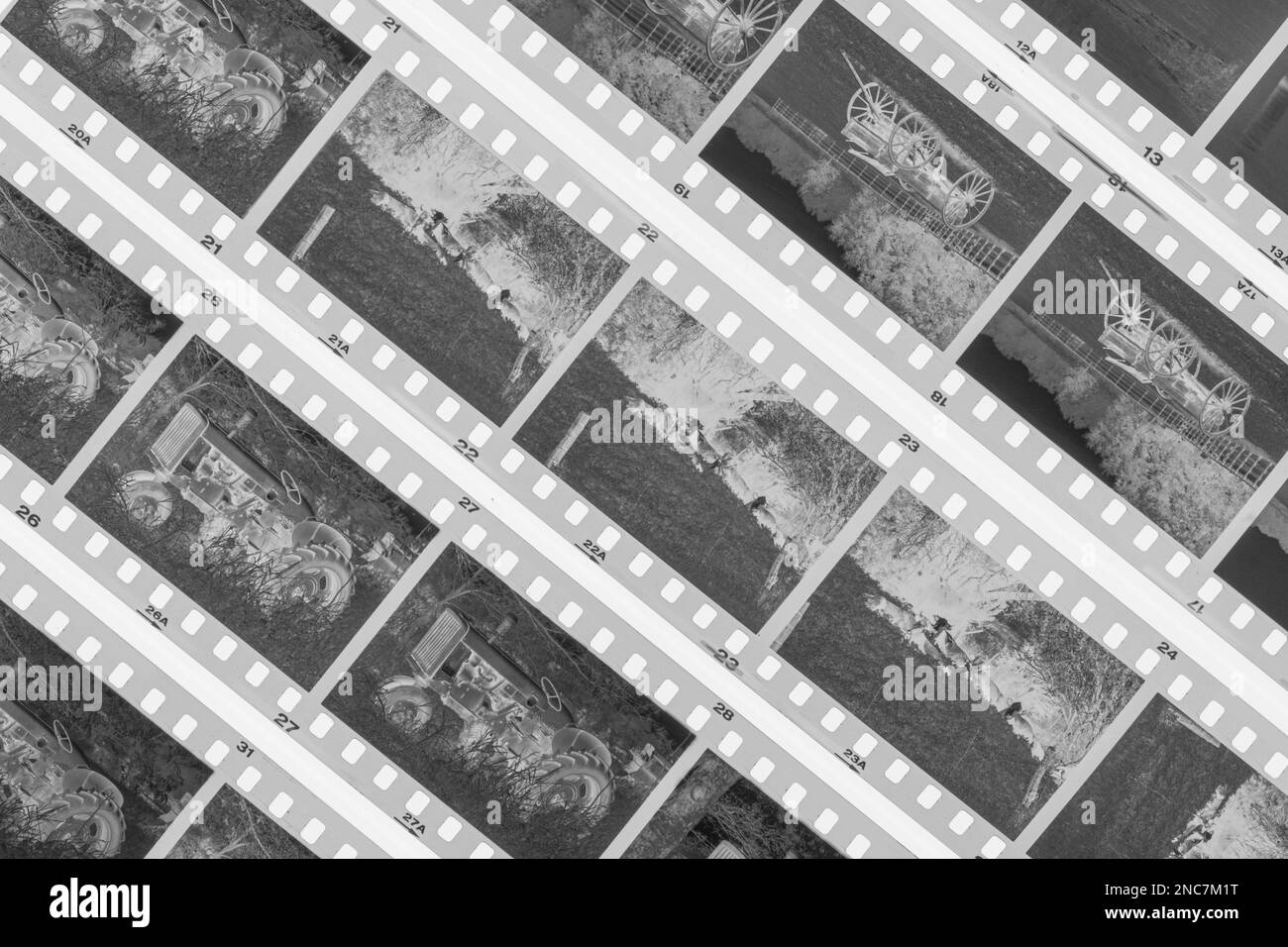 La fotografía de cine está haciendo un comback, y esta fotografía es un primer plano de 35mm negativos en blanco y negro sobre una mesa de luz. Las fotos pertenecen a la p Foto de stock
