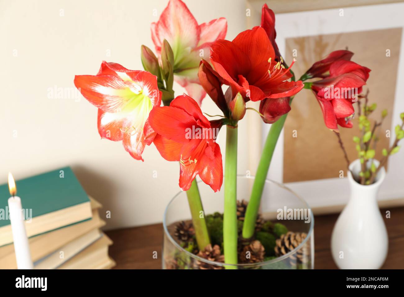 Hermosas flores amarilis rojas en la mesa, primer plano Fotografía de stock  - Alamy