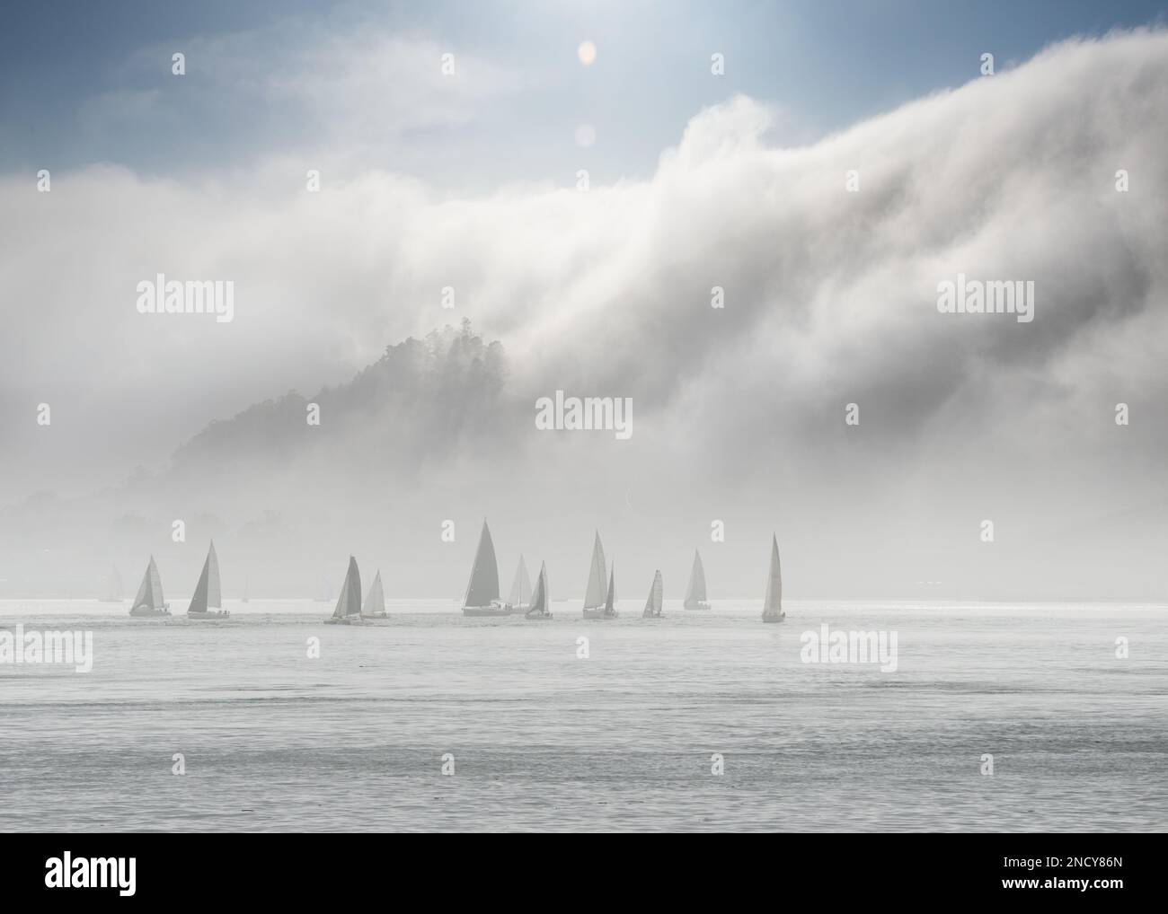 Flota de veleros en la niebla en la Bahía de San Francisco, San Francisco, California, EE.UU Foto de stock