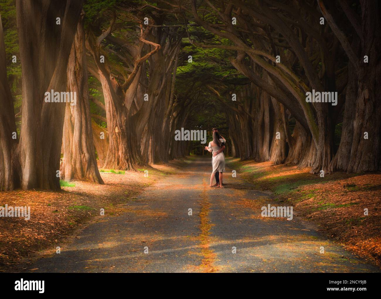 Pareja bailando en un camino cubierto de árboles, Point Reyes, Condado de Marin, California, EE.UU Foto de stock