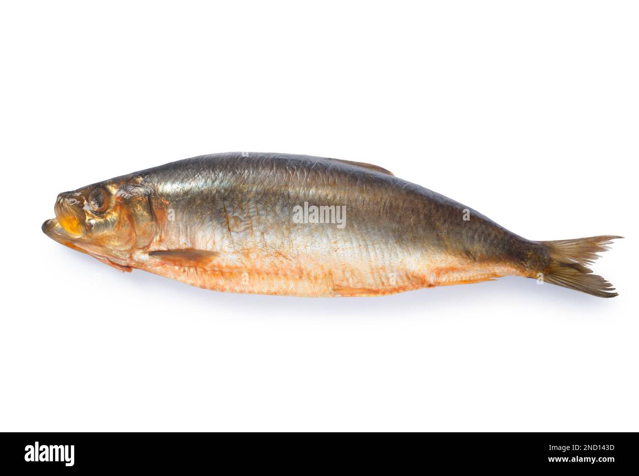 Tiro de estudio de kippers naturalmente ahumados cortados contra un fondo blanco - John Gollop Foto de stock