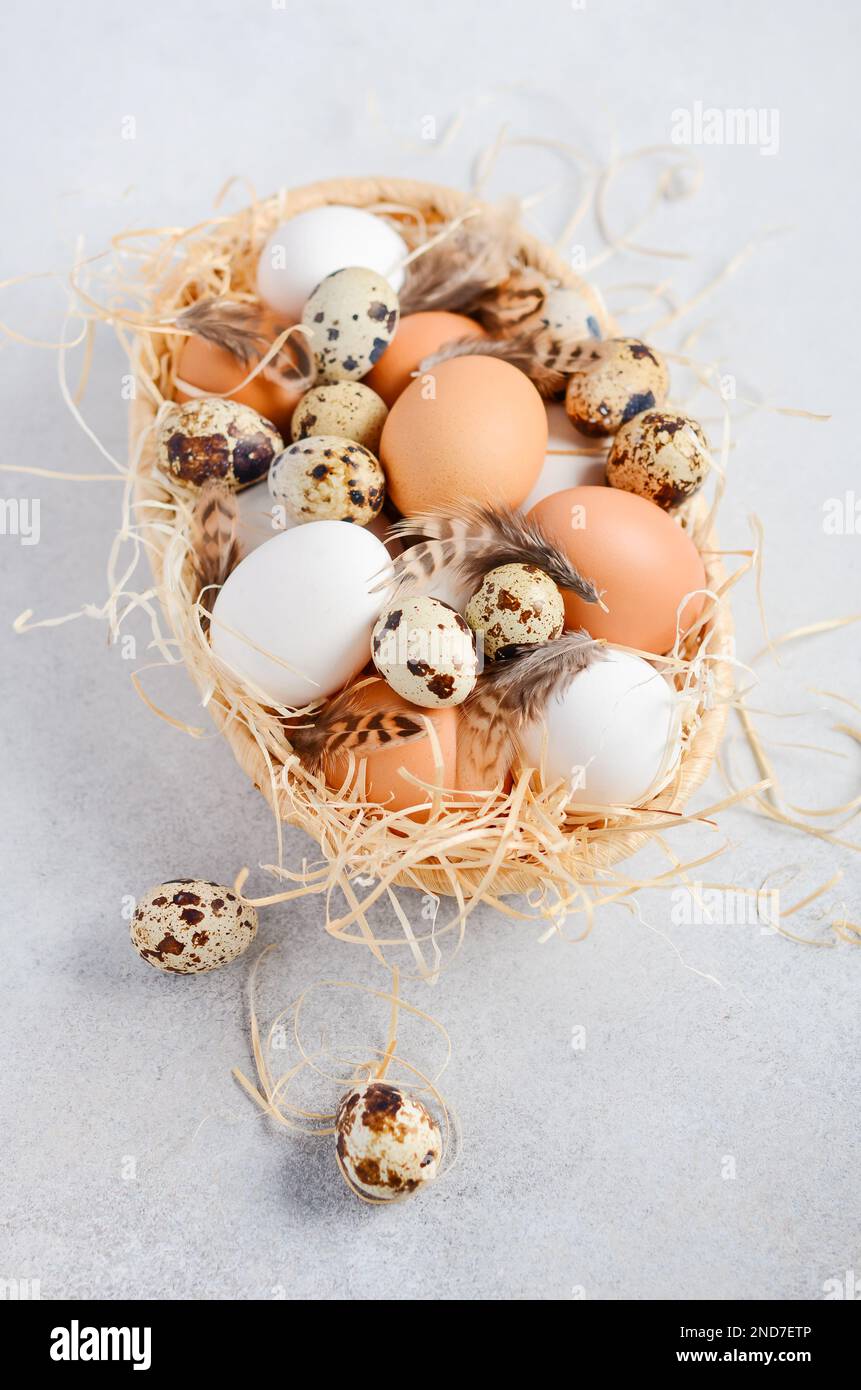Diferentes tipos de huevos en una cesta sobre un fondo de hormigón gris. Foto de stock