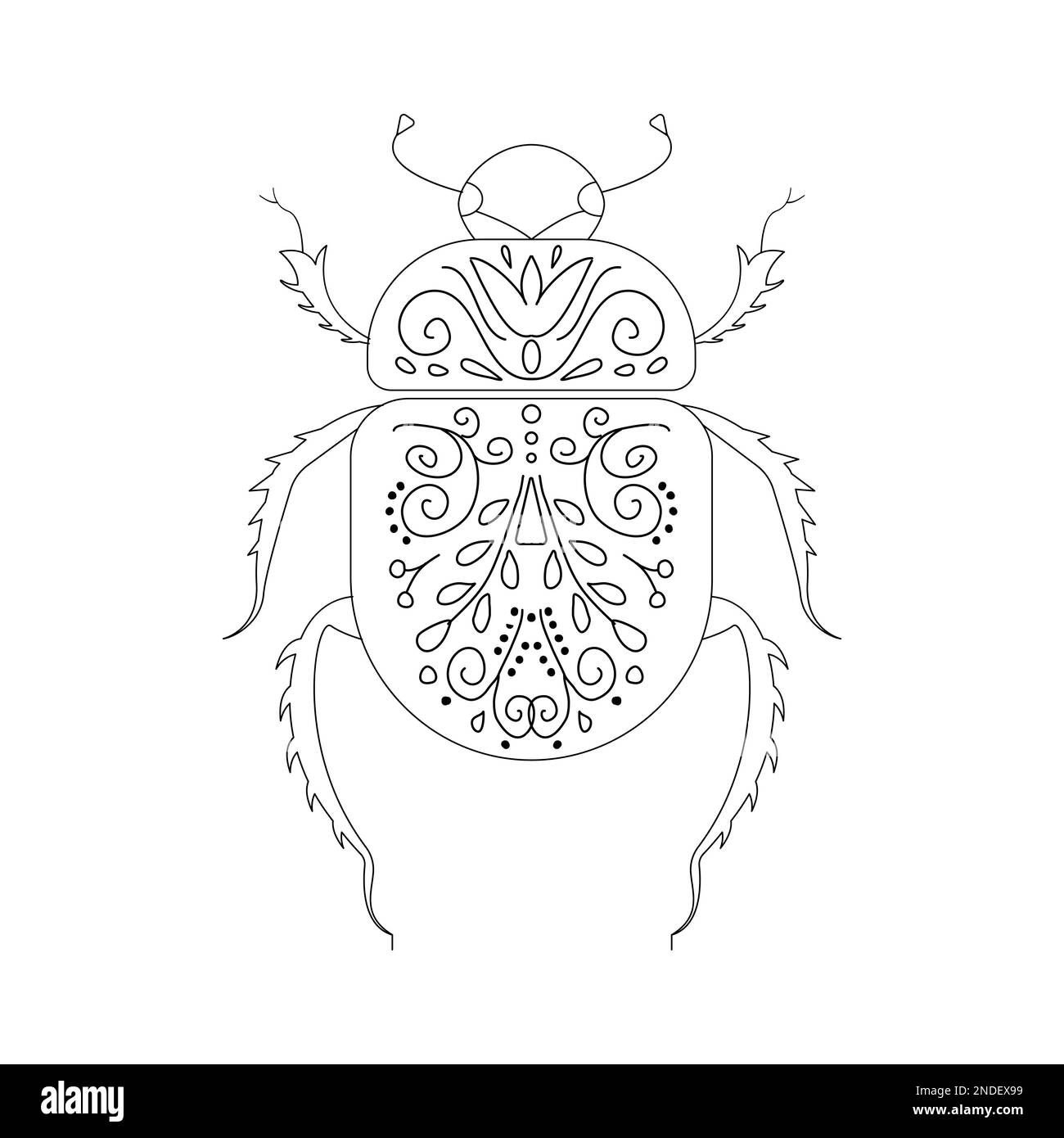 Beetle ilustración lineal colección botánica. Ilustración vectorial Ilustración del Vector