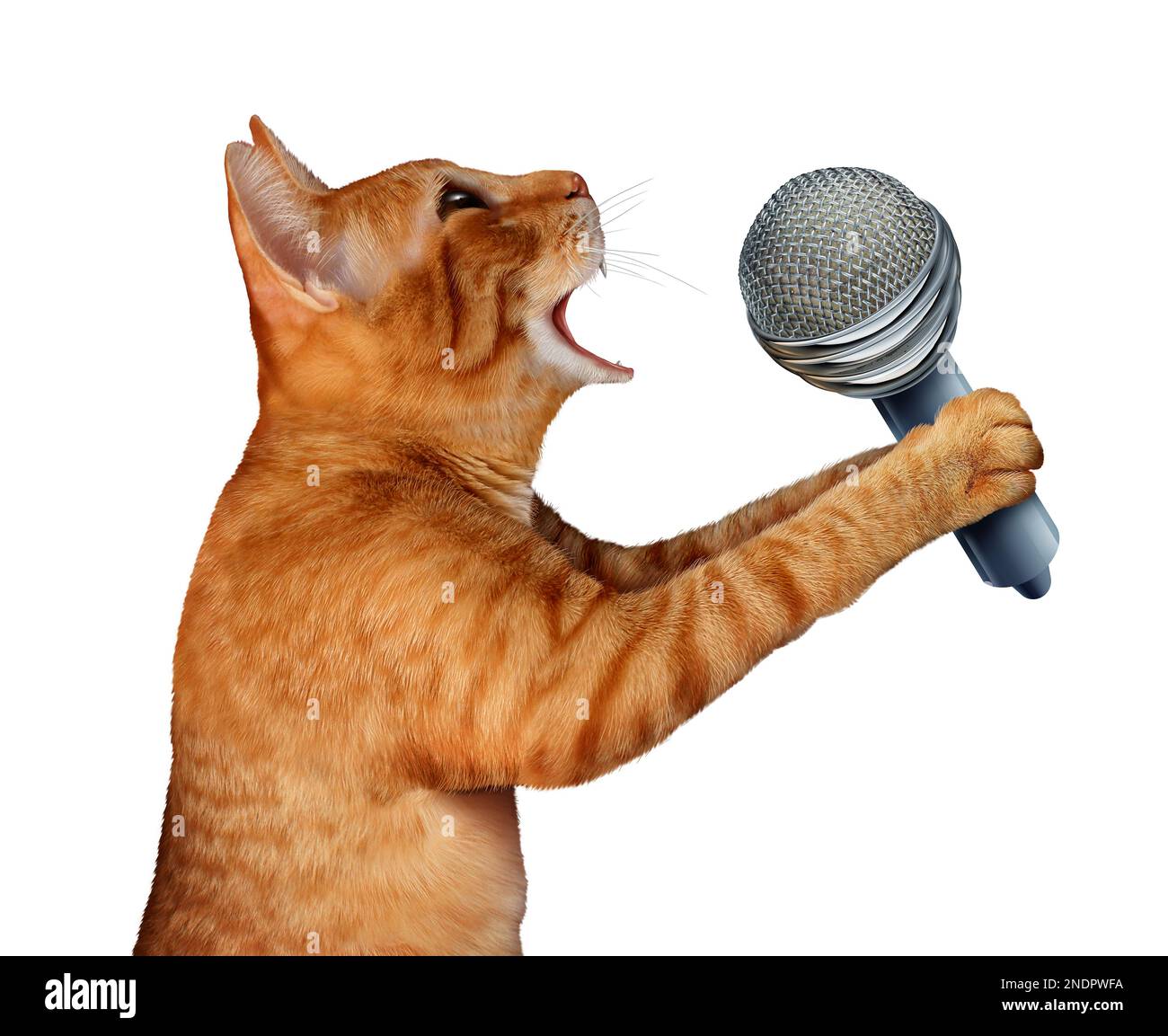 Cantar gato como un felino genérico sosteniendo un micrófono para maullar o maullar para anunciar noticias o promover problemas de mascotas y veterinarios o comercialización de animales Foto de stock