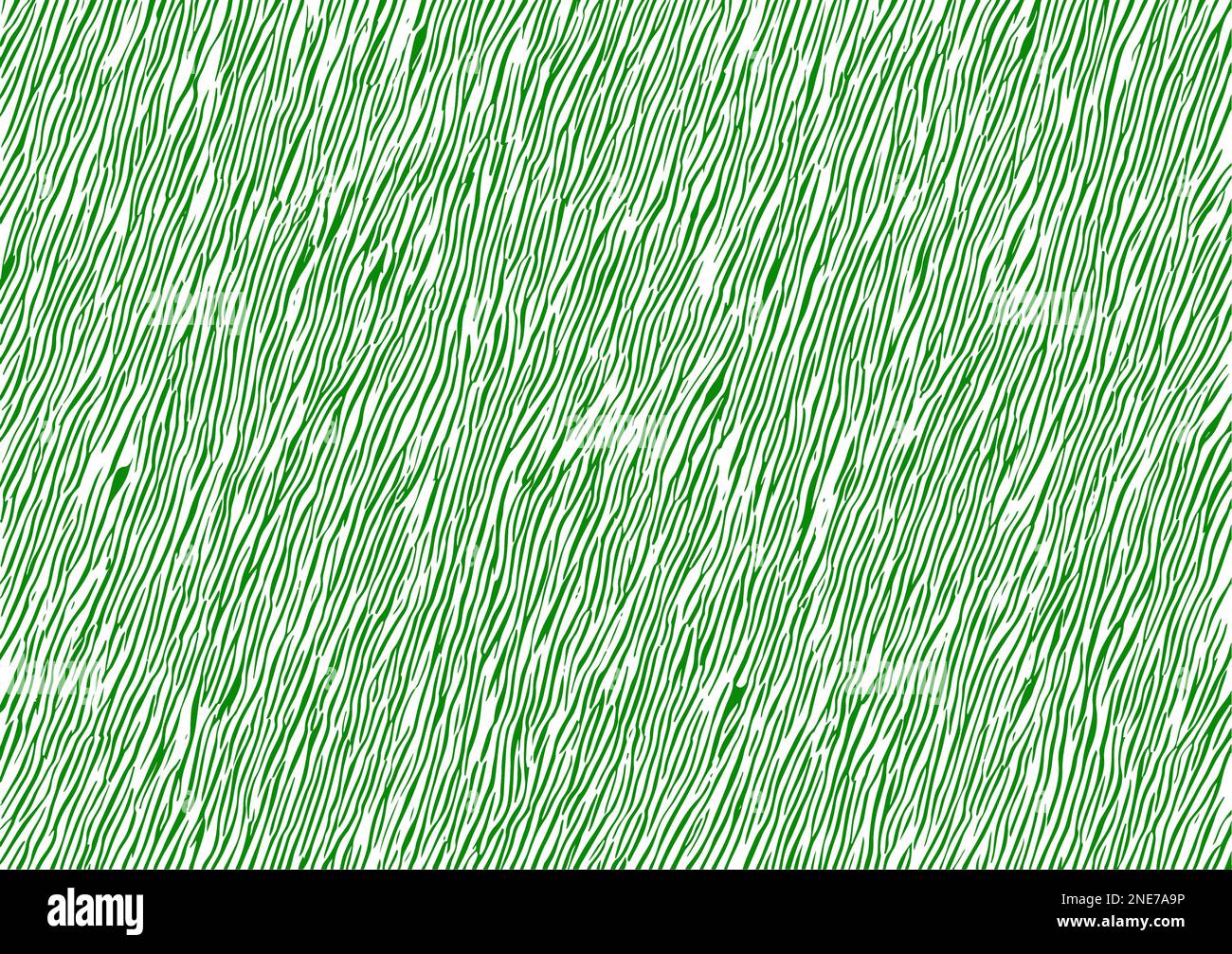 textura de hierba verde ventosa sobre fondo blanco Ilustración del Vector