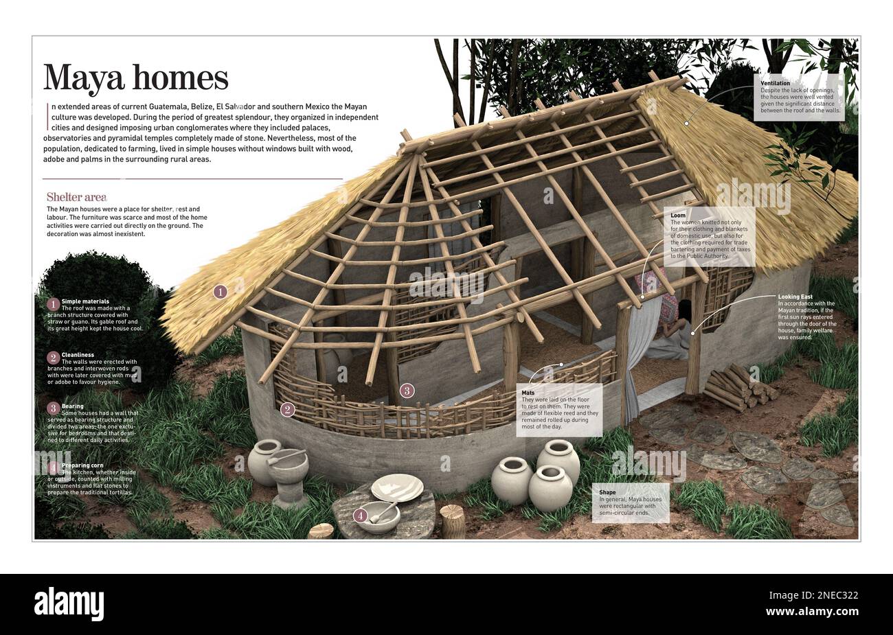 Infografía sobre casas mayas, construidas con madera y adobe en las ciudades típicas de esta civilización (2000 a 1546 a.C.). [Adobe InDesign (.indd); 4960x8503]. Foto de stock