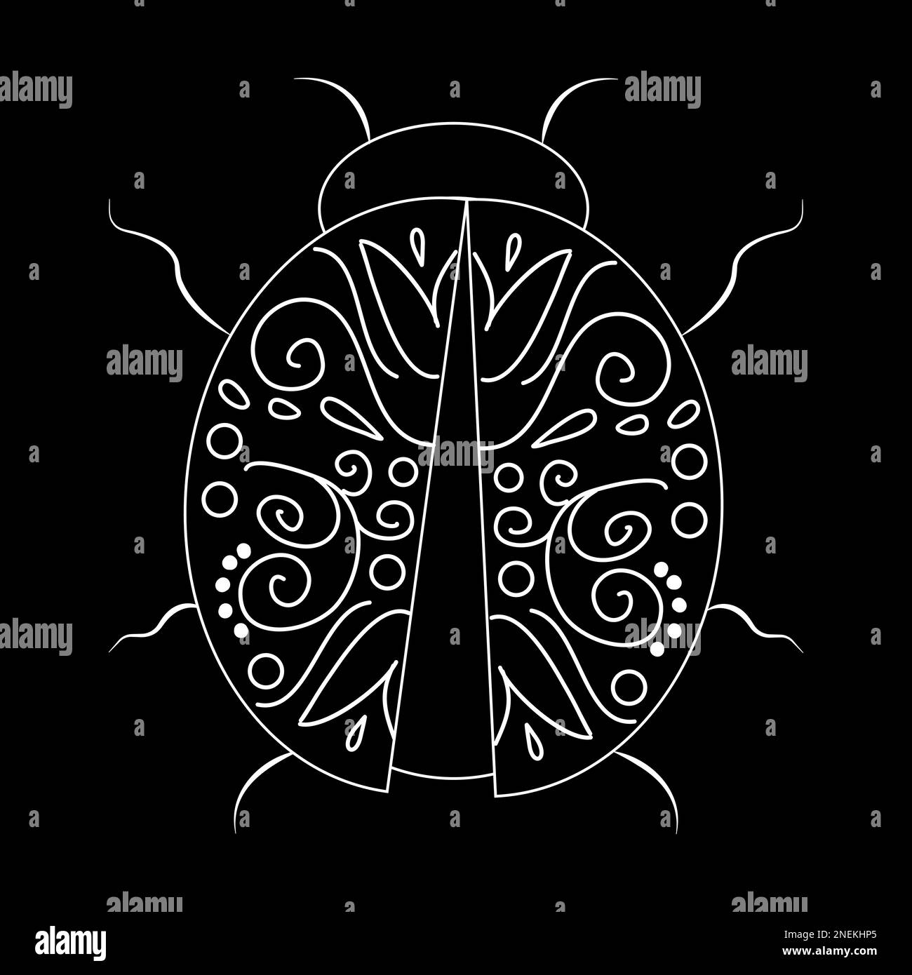 Escarabajo ilustración lineal blanco sobre fondo negro. Colección botánica. Ilustración vectorial Ilustración del Vector