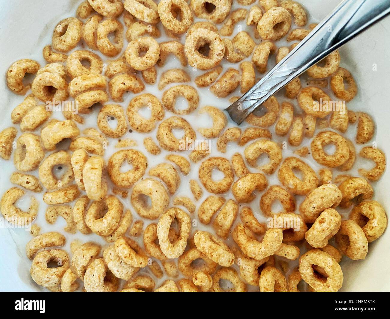 Cheerios cereal en la leche Fotografía de stock - Alamy