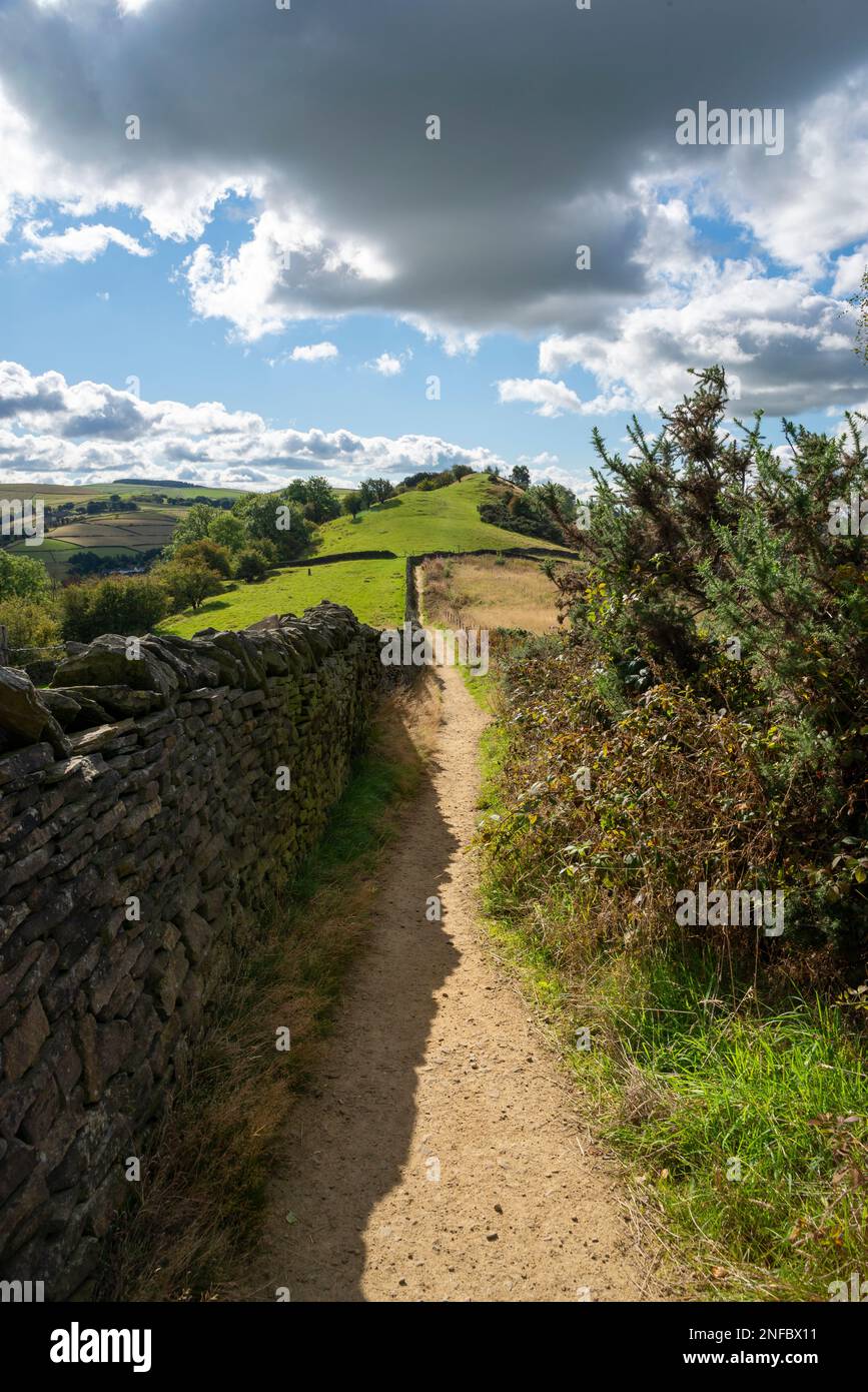 El sendero Gritstone en la colina Kerridge cerca de Macclesfield, Cheshire, Inglaterra. Foto de stock
