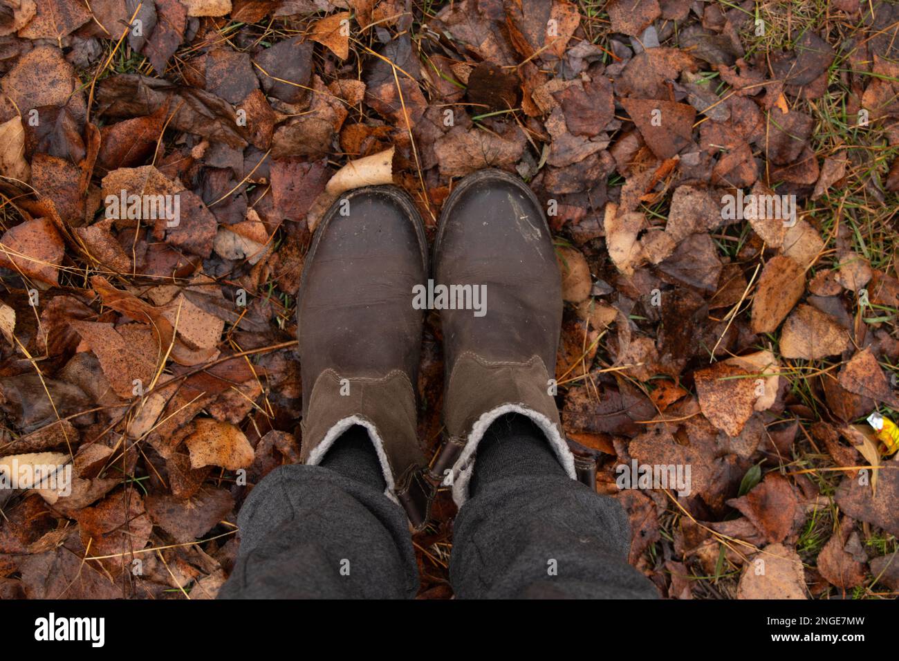 Los pies femeninos en zapatos marrones se colocan en hojas amarillas secas del otoño en el bosque en diciembre Foto de stock