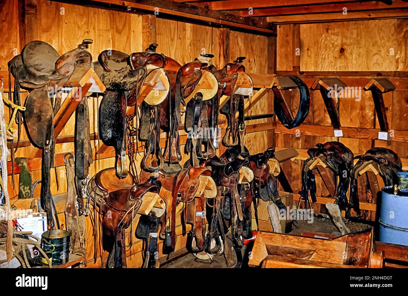 Sillas de montar del oeste colgando, cuarto de tachuelas de un rancho de trabajo, sillas de montar de vaquero, Arizona, EE.UU Foto de stock