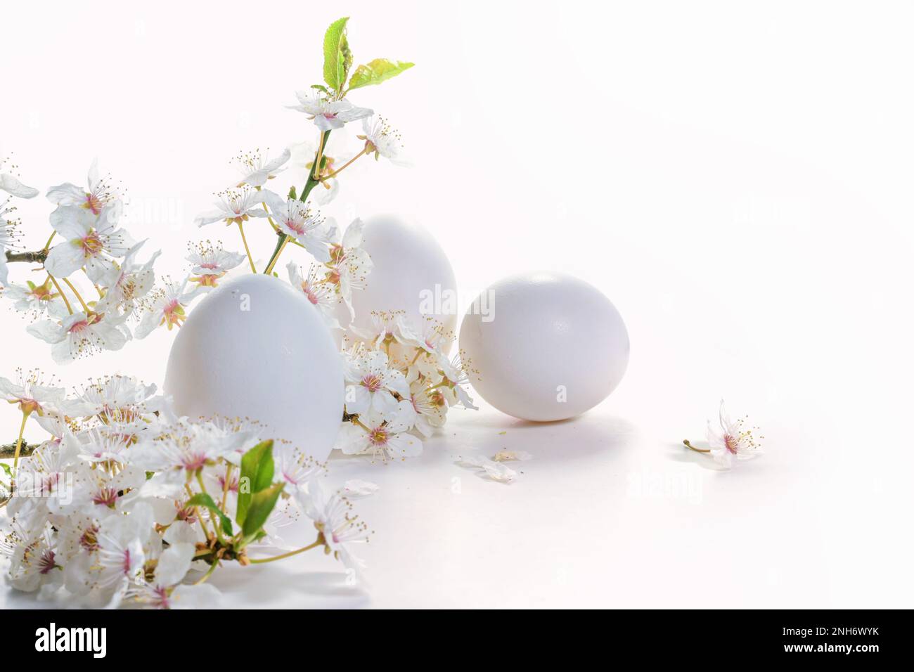 Tres huevos y una rama de flores silvestres sobre un fondo blanco como arreglo de Pascua, tarjeta de felicitación de vacaciones, espacio de copia, enfoque seleccionado, profundidad estrecha o. Foto de stock