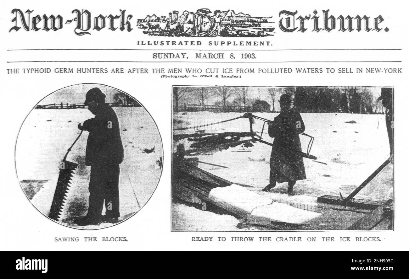 Los cazadores de gérmenes tifoideos persiguen a los hombres que cortaron el hielo de las aguas contaminadas para vender en Nueva York. Suplemento ilustrado del New-York Tribune, 8th de marzo de 1903. La fiebre tifoidea, también conocida como fiebre tifoidea, es una enfermedad causada por la bacteria Salmonella serotipo Typhi y se propaga al comer o beber alimentos o agua contaminados con las heces de una persona infectada. Foto de stock