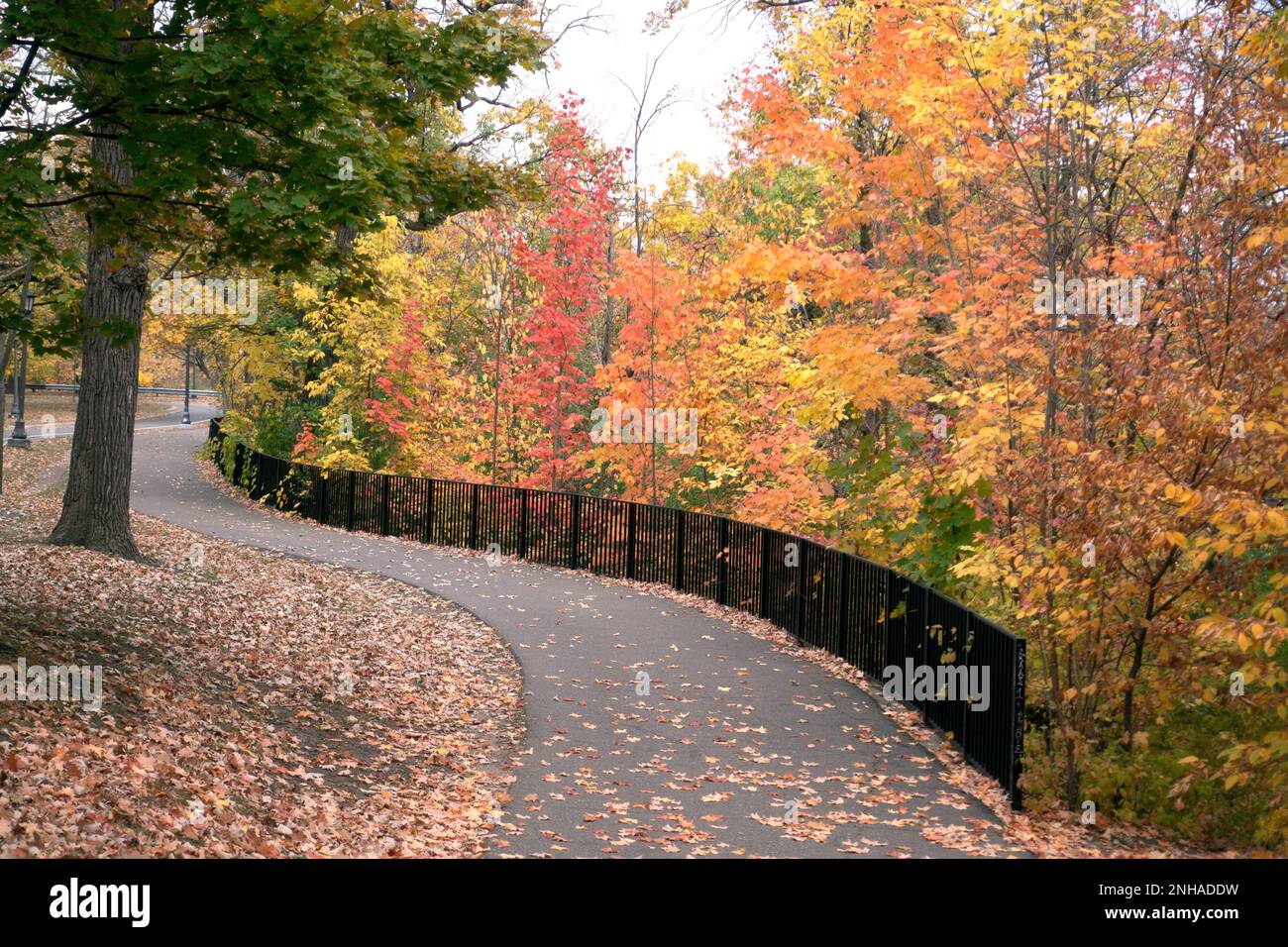 Serpenteante sendero curvo en el bulevar del río North Mississippi bordeado por una valla de hierro negro y follaje otoñal. St Paul Minnesota MN EE.UU Foto de stock