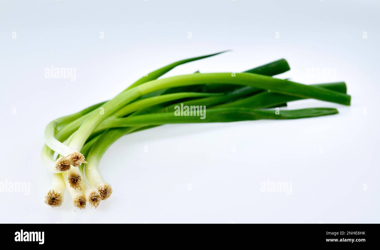 Cebolleta (Allium fistulosum) Foto de stock