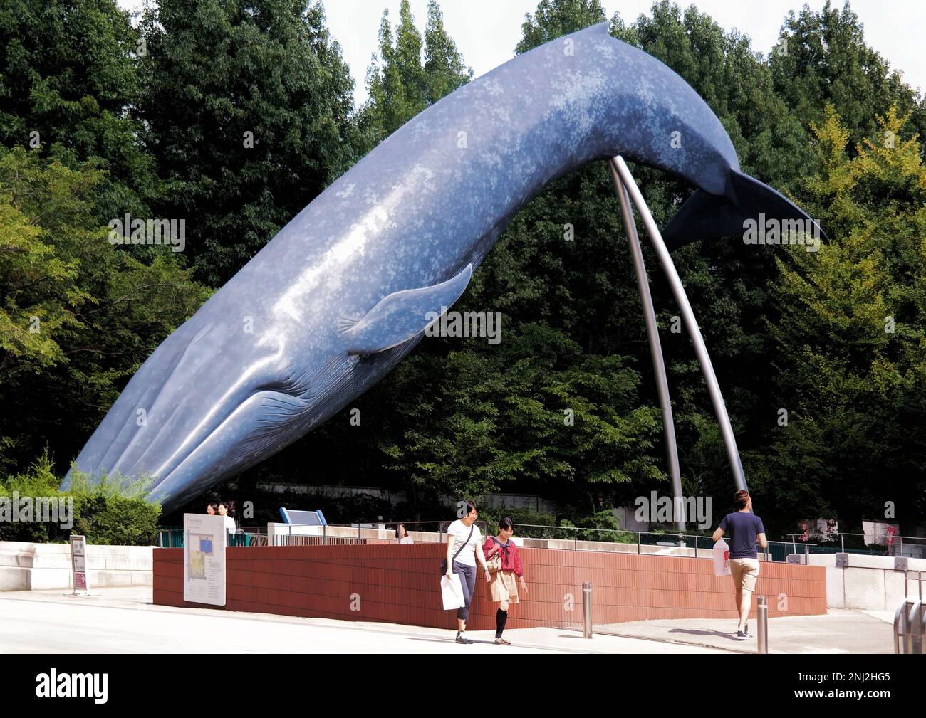 Tokio, Japón - septiembre de 2017: Escultura de ballena azul en el Museo Nacional de Naturaleza y Ciencia, amplia variedad de exposiciones de historia natural Foto de stock