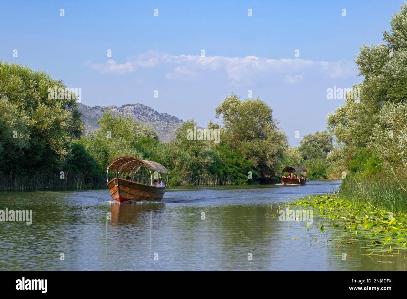 Barcos turísticos cerca de Virpazar en el río Crmnica que desemboca en el lago Skadar, Skadarsko Jezero National Park, Crmnica región, Bar, Montenegro Foto de stock
