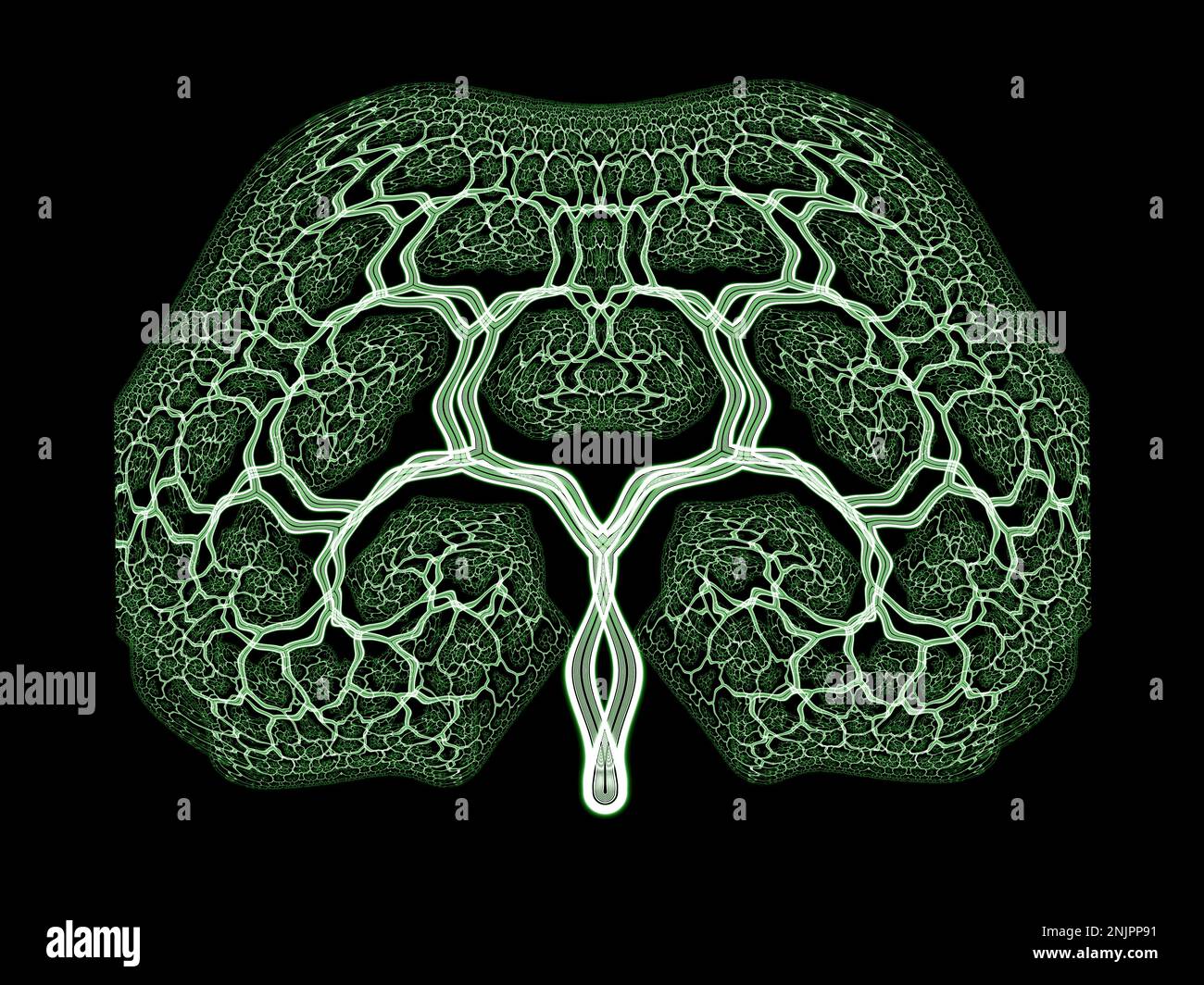 Arte abstracto del árbol fractal Foto de stock