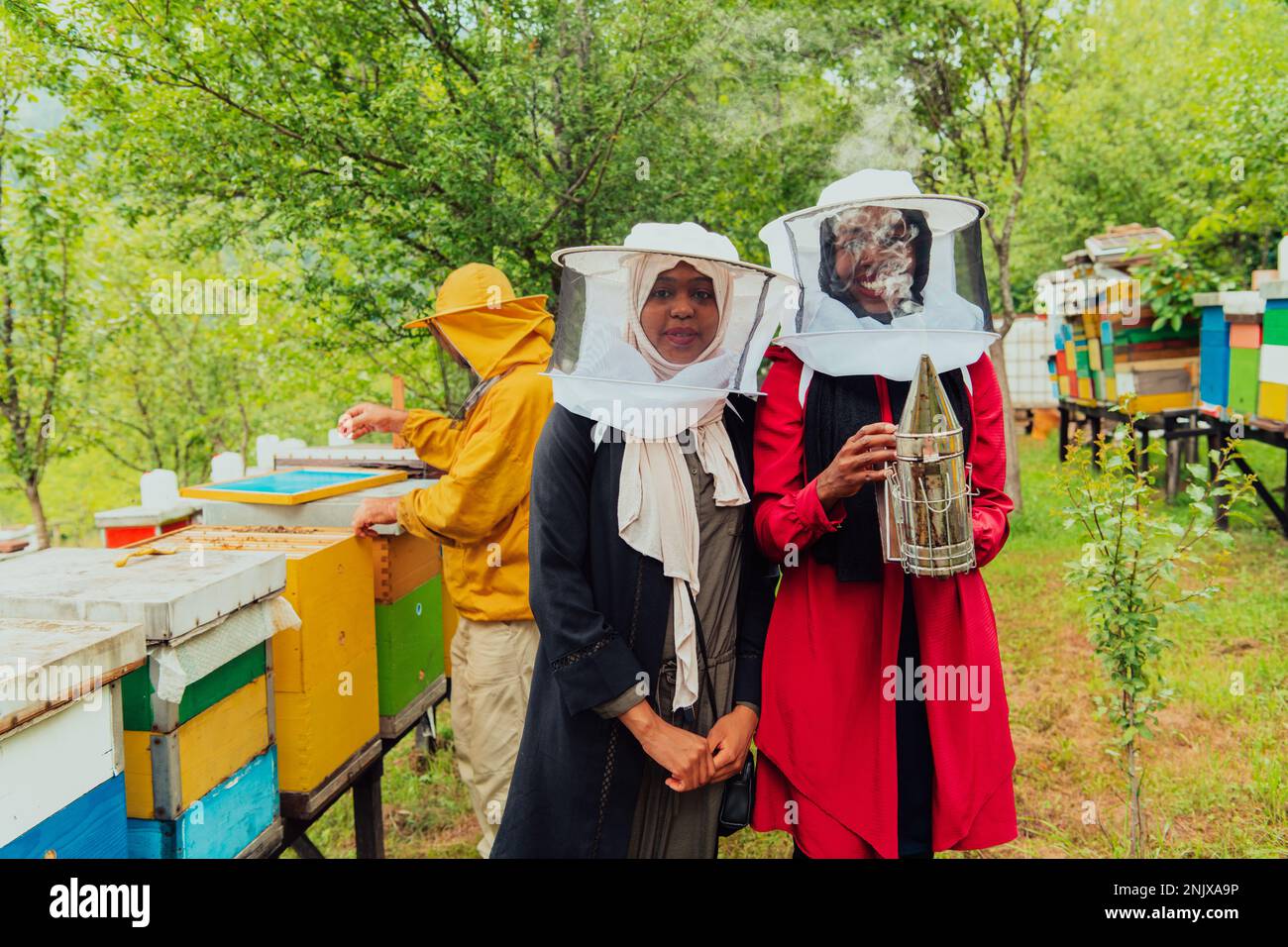 Inversores árabes que comprueban la calidad y la producción de miel en una  gran granja de miel Fotografía de stock - Alamy