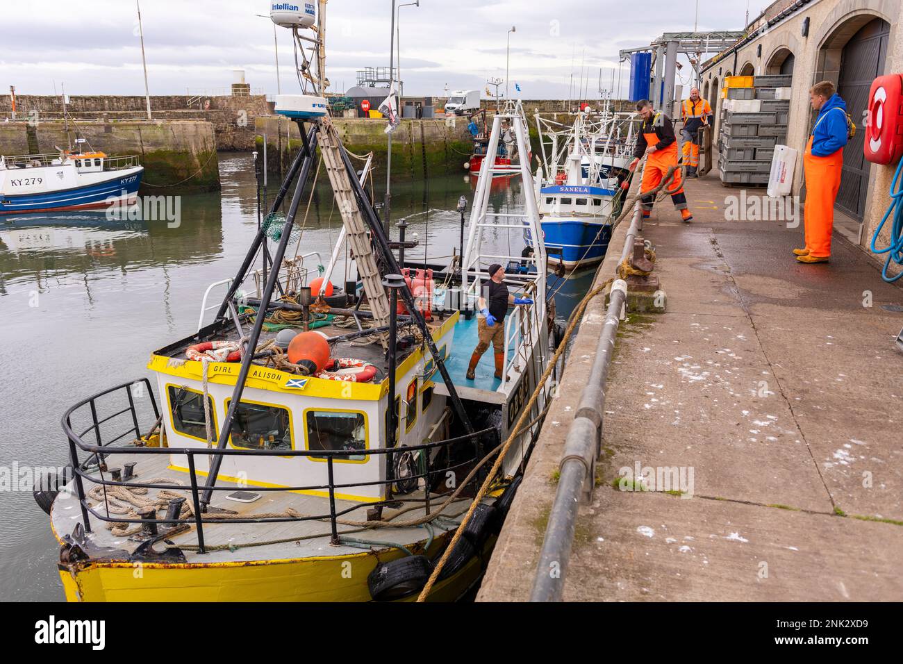 PUERTO DE PITTENWEEM, ESCOCIA, EUROPA - Pescadores comerciales en el pueblo de pescadores en la costa este de Escocia. Foto de stock