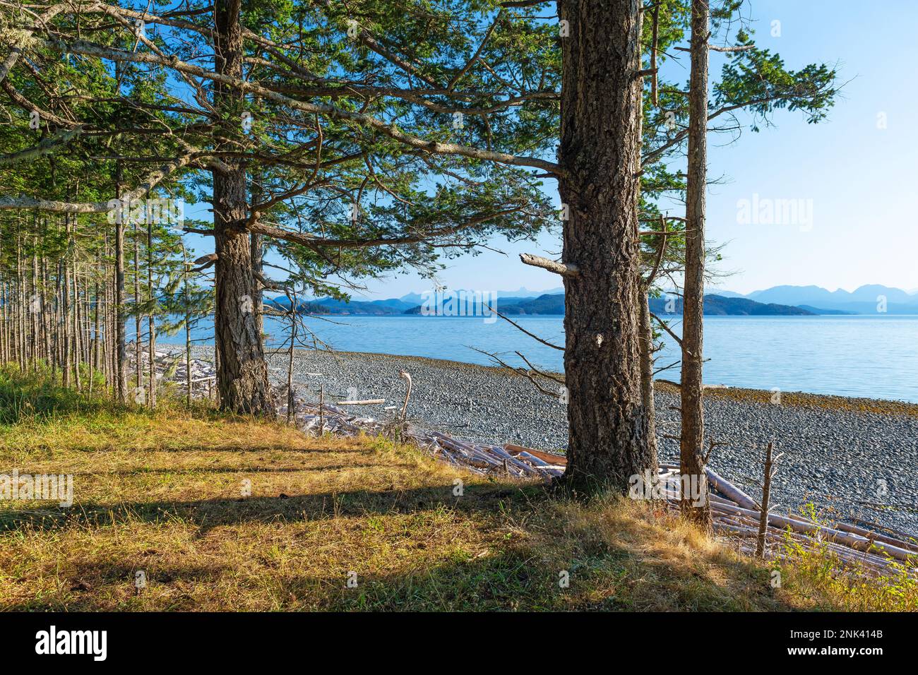 Paisaje a lo largo de la caminata en Rebecca Spit Marine Provincial Park, Quadra Island, Vancouver Island, BC, Canadá. Foto de stock