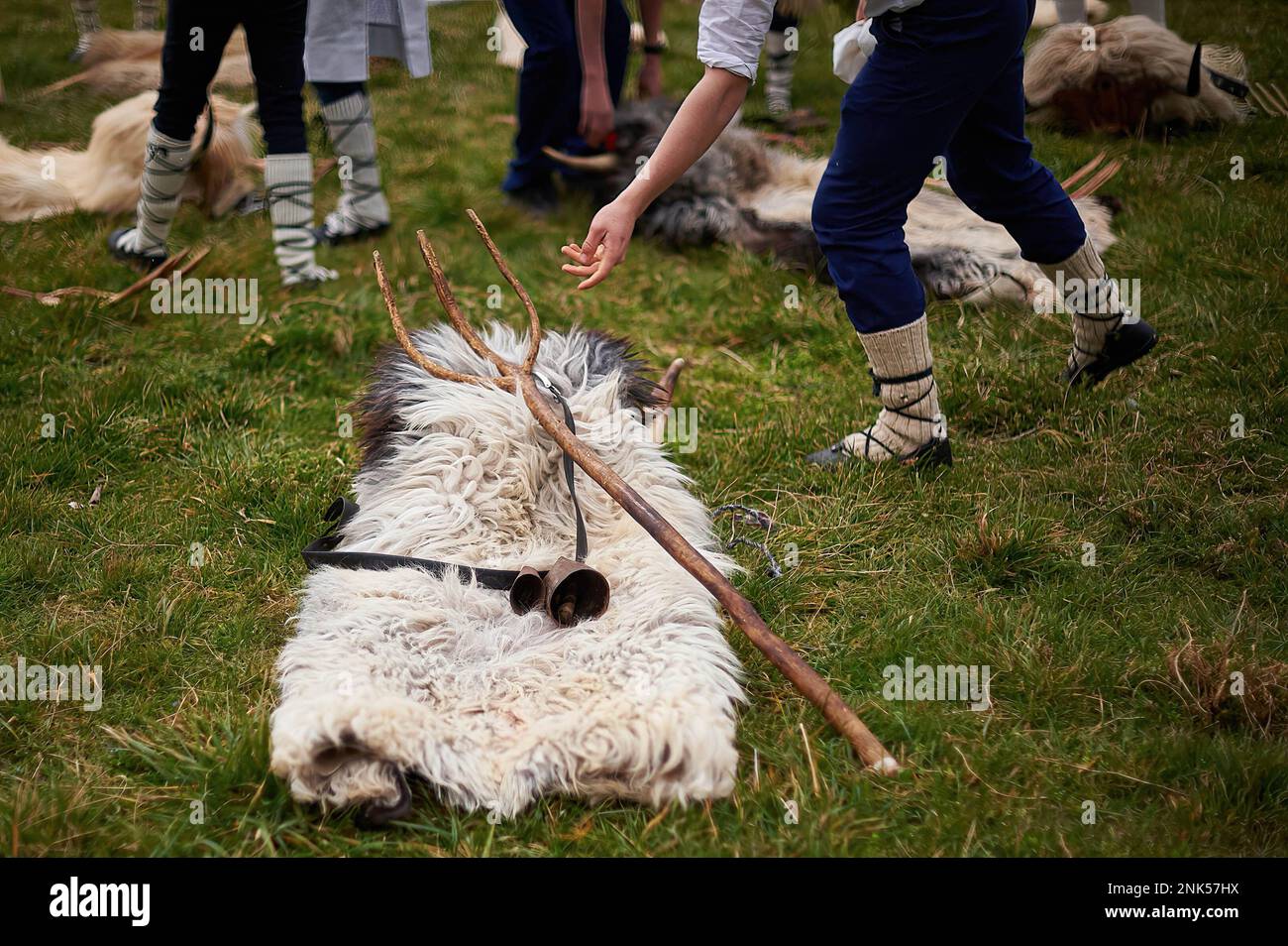 Las pieles de oveja Latxa, junto con el cencerro y la horca, llamada 'el  sarde', son las prendas con las que los 'omotxorros' llevan durante el  carnaval de Alsasua. El Carnaval involucra